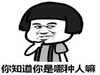暴漫 文字表情包 你知道你是那种人嘛 搞笑 沙雕 魔性