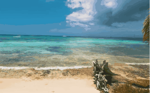 多米尼加共和国 椰子树 海洋 海浪 清澈 纪录片 蓬塔卡纳 风景