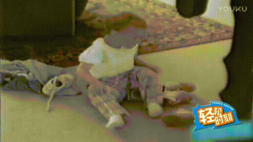 狗狗 可愛 萌娃 萌寵