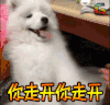 soogif soogif出品 萌宠 你走开 抓狂