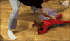 孩子 男人 猫咪 猫 可爱 萌 gif