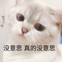 萌宠 猫星人 没意思 真的没意思 呆萌 可爱