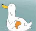 鸭子 什么 震惊