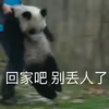 萌宠 熊猫 回家吧 别丢人了 呆萌 可爱