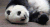 熊猫 panda