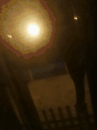 手指 近距离 灯光