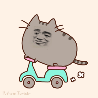 小猫 开心 可爱 骑电动车
