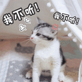 我不听 拒绝 猫