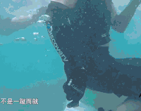 我们的法则 吴奇隆 大海 潜水