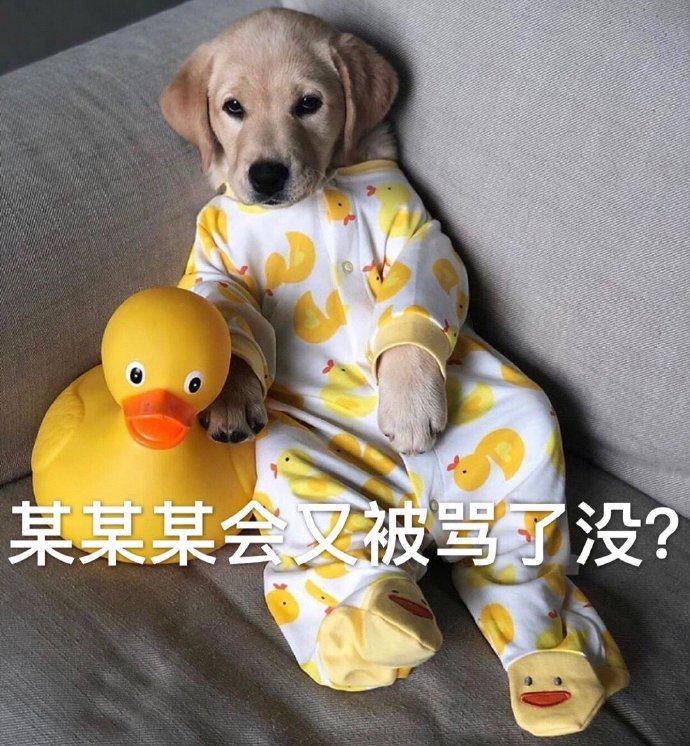 萌宠 汪星人 某某某会被骂了没 每天的我 呆萌 搞怪