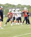 足球 NFL 俄勒冈鸭 体育 田纳西泰坦 马库斯mariota