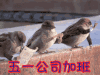 五一 劳动节 加班