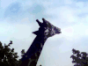 长颈鹿 天空 吃 吐舌头 调皮 可爱 giraffe