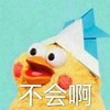 不会啊 搞笑 可爱 小鸡