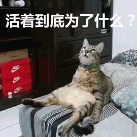 活著 為什么 貓