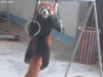 熊猫 健身 fridayfitness