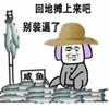 恶搞 小贩 摆摊 回地摊上来吧别装逼了咸鱼