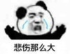 暴漫 文字表情包 悲伤那么大 搞笑 沙雕 魔性