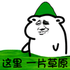 暴漫 搞笑 雷人 斗图 这里一片草原 绿帽子