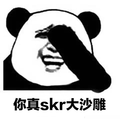 skr 你真skr大沙雕