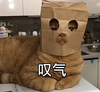 萌宠 喵星人 叹气 无话可说 憨憨 可爱