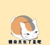 猫咪 可爱 文字表情包 逗 夏目友人帐