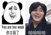 你太弱了 金馆长 咧嘴 熊猫