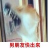 萌宠 汪星人 男朋友快出来 你在哪里快给我出来 淘气 可爱