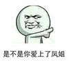 是不是你爱上了凤姐 金馆长 搞笑 装傻