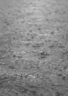 天气 自然 下雨 雨滴