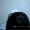 小狗  可怕    动画  动态