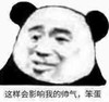 熊猫头 暴漫 这样会影响我的帅气笨蛋 搞笑 逗 魔性