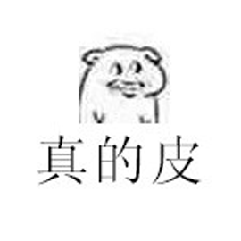 真的皮 搞怪
