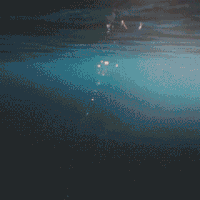 风景 海 大海 海水 阳光
