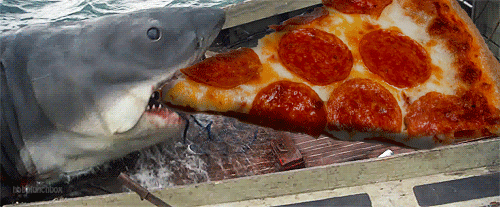 鲨鱼 shark 披萨 拼接