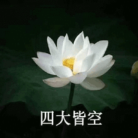 莲花 沙雕莲花 四大皆空