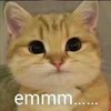 萌宠 猫星人 emmm 无奈 搞怪 呆萌