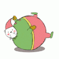 猫咪 大肚子 摔倒 超搞笑