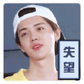 鹿晗 失望 呆萌 不开心 动图