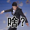 撒贝宁       看我的    溜冰    手势 啥