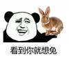 金馆长 恶心 贱 看到你就想兔