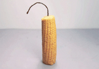 玉米 爆米花 设计