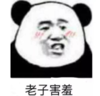 暴漫 文字表情包 老子害羞 搞笑 沙雕 魔性