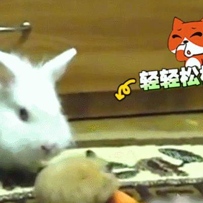 小兔子 胡萝卜 可爱 轻轻松松