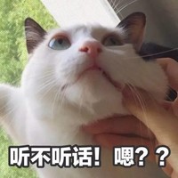 猫咪 手指 掐脸蛋 听不听话嗯