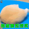 萌宠 拒绝 面对现实 soogif soogif出品