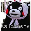 人为什么只有两个肾 恶搞 可爱 熊本熊