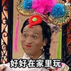 宋小宝 咖妃 斗图 搞笑 好好在家里玩