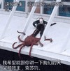 章鱼 恶搞 这位先生能占 用你一点时间 吗我希望能跟 你讲一下我们 的天父救主 克苏鲁