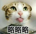 猫咪  吐舌头  略略略  可爱  装逼